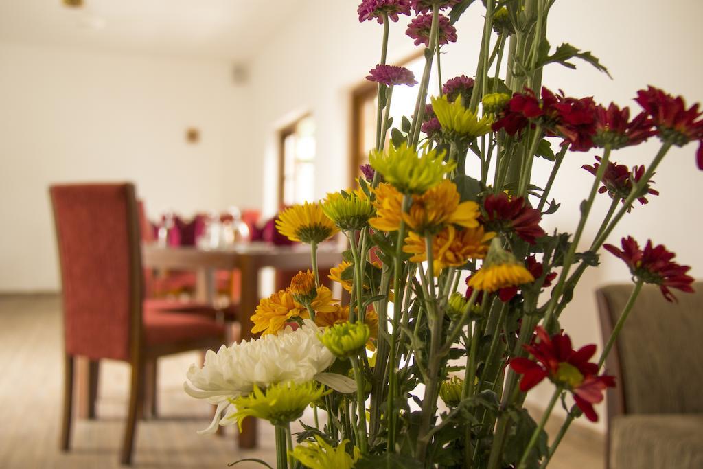 Ellen'S Place Коломбо Екстериор снимка